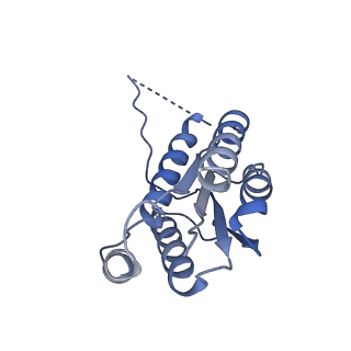 11633_7a4h_CM_v1-2
Aquifex aeolicus lumazine synthase-derived nucleocapsid variant NC-2 (180-mer)