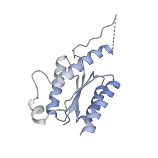 11633_7a4h_CN_v1-2
Aquifex aeolicus lumazine synthase-derived nucleocapsid variant NC-2 (180-mer)