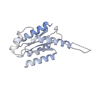 11633_7a4h_CO_v1-2
Aquifex aeolicus lumazine synthase-derived nucleocapsid variant NC-2 (180-mer)
