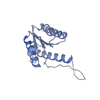 11633_7a4h_DA_v1-2
Aquifex aeolicus lumazine synthase-derived nucleocapsid variant NC-2 (180-mer)