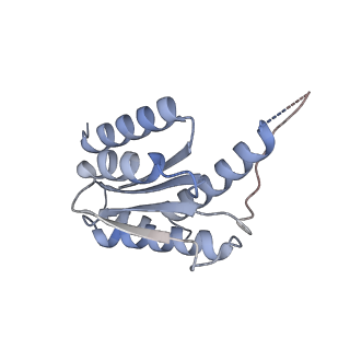 11633_7a4h_DB_v1-2
Aquifex aeolicus lumazine synthase-derived nucleocapsid variant NC-2 (180-mer)