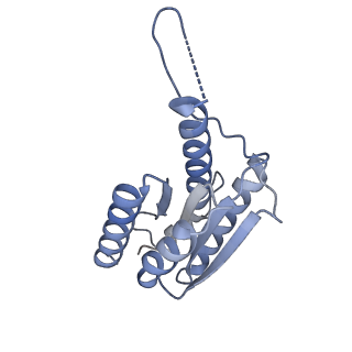 11633_7a4h_DC_v1-2
Aquifex aeolicus lumazine synthase-derived nucleocapsid variant NC-2 (180-mer)