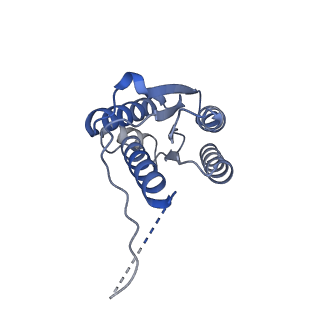 11633_7a4h_DE_v1-2
Aquifex aeolicus lumazine synthase-derived nucleocapsid variant NC-2 (180-mer)