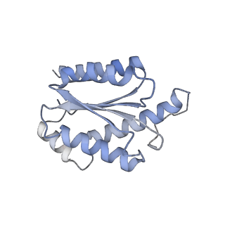 11633_7a4h_DF_v1-2
Aquifex aeolicus lumazine synthase-derived nucleocapsid variant NC-2 (180-mer)
