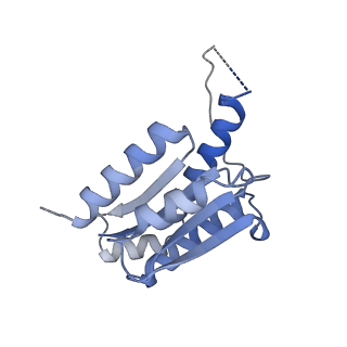 11633_7a4h_DG_v1-2
Aquifex aeolicus lumazine synthase-derived nucleocapsid variant NC-2 (180-mer)