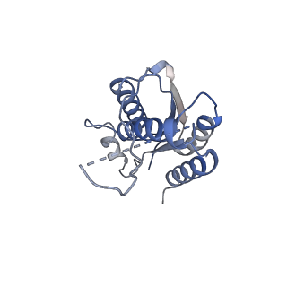 11633_7a4h_DI_v1-2
Aquifex aeolicus lumazine synthase-derived nucleocapsid variant NC-2 (180-mer)