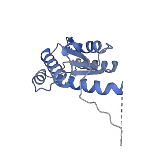 11633_7a4h_DJ_v1-2
Aquifex aeolicus lumazine synthase-derived nucleocapsid variant NC-2 (180-mer)