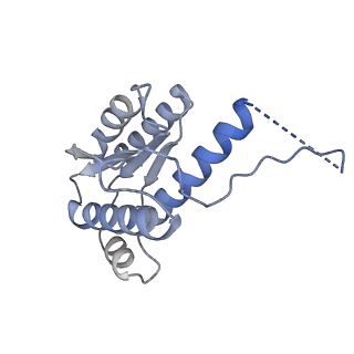 11633_7a4h_DL_v1-2
Aquifex aeolicus lumazine synthase-derived nucleocapsid variant NC-2 (180-mer)