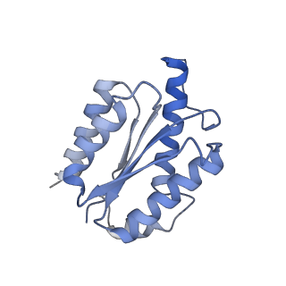 11633_7a4h_DM_v1-2
Aquifex aeolicus lumazine synthase-derived nucleocapsid variant NC-2 (180-mer)