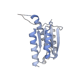 11633_7a4h_DN_v1-2
Aquifex aeolicus lumazine synthase-derived nucleocapsid variant NC-2 (180-mer)