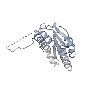 11633_7a4h_DO_v1-2
Aquifex aeolicus lumazine synthase-derived nucleocapsid variant NC-2 (180-mer)