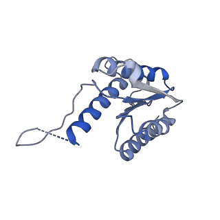 11633_7a4h_EA_v1-2
Aquifex aeolicus lumazine synthase-derived nucleocapsid variant NC-2 (180-mer)
