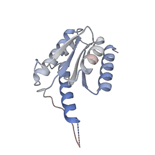 11633_7a4h_EB_v1-2
Aquifex aeolicus lumazine synthase-derived nucleocapsid variant NC-2 (180-mer)
