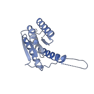 11633_7a4h_EC_v1-2
Aquifex aeolicus lumazine synthase-derived nucleocapsid variant NC-2 (180-mer)