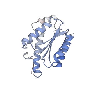 11633_7a4h_EF_v1-2
Aquifex aeolicus lumazine synthase-derived nucleocapsid variant NC-2 (180-mer)
