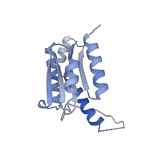 11633_7a4h_EG_v1-2
Aquifex aeolicus lumazine synthase-derived nucleocapsid variant NC-2 (180-mer)