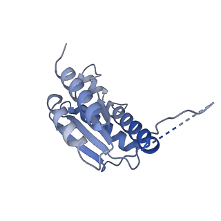 11633_7a4h_EH_v1-2
Aquifex aeolicus lumazine synthase-derived nucleocapsid variant NC-2 (180-mer)