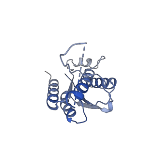 11633_7a4h_EI_v1-2
Aquifex aeolicus lumazine synthase-derived nucleocapsid variant NC-2 (180-mer)