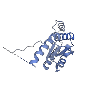 11633_7a4h_EJ_v1-2
Aquifex aeolicus lumazine synthase-derived nucleocapsid variant NC-2 (180-mer)