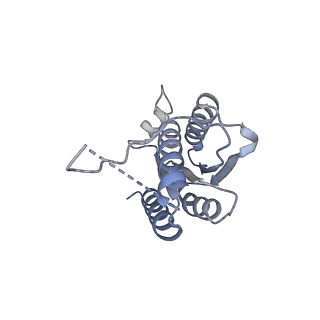 11633_7a4h_EK_v1-2
Aquifex aeolicus lumazine synthase-derived nucleocapsid variant NC-2 (180-mer)