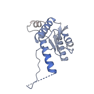 11633_7a4h_EL_v1-2
Aquifex aeolicus lumazine synthase-derived nucleocapsid variant NC-2 (180-mer)