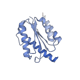 11633_7a4h_EM_v1-2
Aquifex aeolicus lumazine synthase-derived nucleocapsid variant NC-2 (180-mer)