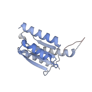 11633_7a4h_EN_v1-2
Aquifex aeolicus lumazine synthase-derived nucleocapsid variant NC-2 (180-mer)
