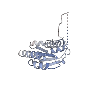 11633_7a4h_EO_v1-2
Aquifex aeolicus lumazine synthase-derived nucleocapsid variant NC-2 (180-mer)