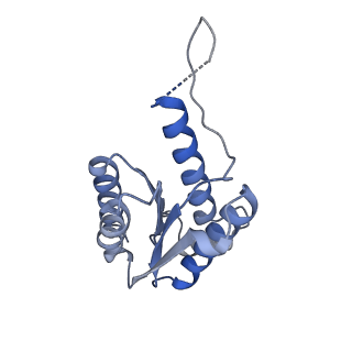 11633_7a4h_FA_v1-2
Aquifex aeolicus lumazine synthase-derived nucleocapsid variant NC-2 (180-mer)