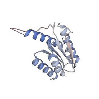 11633_7a4h_FB_v1-2
Aquifex aeolicus lumazine synthase-derived nucleocapsid variant NC-2 (180-mer)
