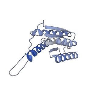 11633_7a4h_FC_v1-2
Aquifex aeolicus lumazine synthase-derived nucleocapsid variant NC-2 (180-mer)