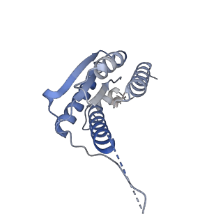 11633_7a4h_FD_v1-2
Aquifex aeolicus lumazine synthase-derived nucleocapsid variant NC-2 (180-mer)