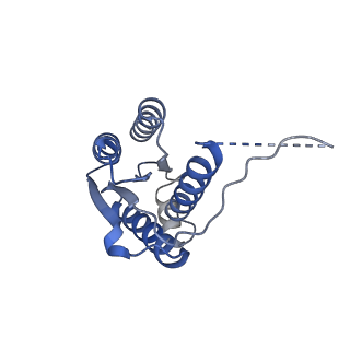 11633_7a4h_FE_v1-2
Aquifex aeolicus lumazine synthase-derived nucleocapsid variant NC-2 (180-mer)