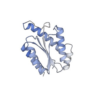 11633_7a4h_FF_v1-2
Aquifex aeolicus lumazine synthase-derived nucleocapsid variant NC-2 (180-mer)