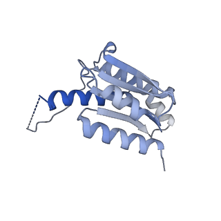 11633_7a4h_FG_v1-2
Aquifex aeolicus lumazine synthase-derived nucleocapsid variant NC-2 (180-mer)
