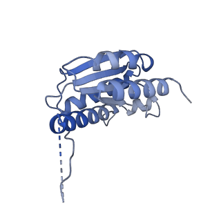 11633_7a4h_FH_v1-2
Aquifex aeolicus lumazine synthase-derived nucleocapsid variant NC-2 (180-mer)