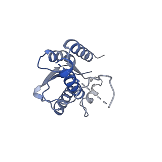 11633_7a4h_FI_v1-2
Aquifex aeolicus lumazine synthase-derived nucleocapsid variant NC-2 (180-mer)
