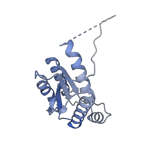 11633_7a4h_FJ_v1-2
Aquifex aeolicus lumazine synthase-derived nucleocapsid variant NC-2 (180-mer)