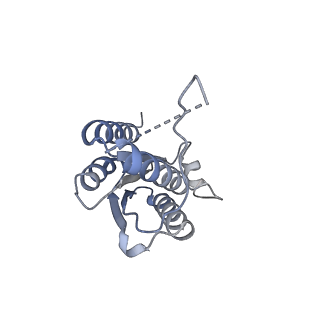 11633_7a4h_FK_v1-2
Aquifex aeolicus lumazine synthase-derived nucleocapsid variant NC-2 (180-mer)
