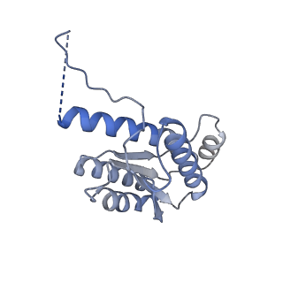 11633_7a4h_FL_v1-2
Aquifex aeolicus lumazine synthase-derived nucleocapsid variant NC-2 (180-mer)