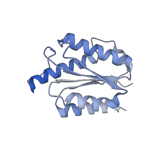11633_7a4h_FM_v1-2
Aquifex aeolicus lumazine synthase-derived nucleocapsid variant NC-2 (180-mer)