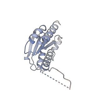 11633_7a4h_FO_v1-2
Aquifex aeolicus lumazine synthase-derived nucleocapsid variant NC-2 (180-mer)