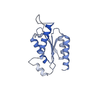 11633_7a4h_GA_v1-2
Aquifex aeolicus lumazine synthase-derived nucleocapsid variant NC-2 (180-mer)