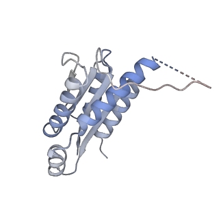 11633_7a4h_GB_v1-2
Aquifex aeolicus lumazine synthase-derived nucleocapsid variant NC-2 (180-mer)