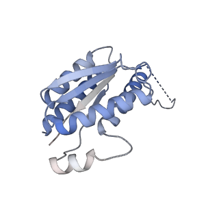 11633_7a4h_GC_v1-2
Aquifex aeolicus lumazine synthase-derived nucleocapsid variant NC-2 (180-mer)