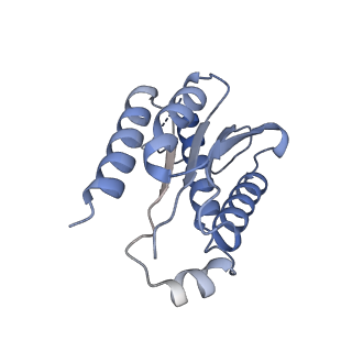 11633_7a4h_GD_v1-2
Aquifex aeolicus lumazine synthase-derived nucleocapsid variant NC-2 (180-mer)