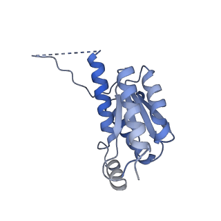 11633_7a4h_GE_v1-2
Aquifex aeolicus lumazine synthase-derived nucleocapsid variant NC-2 (180-mer)