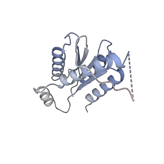 11633_7a4h_GF_v1-2
Aquifex aeolicus lumazine synthase-derived nucleocapsid variant NC-2 (180-mer)