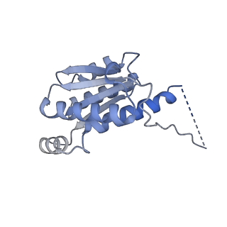 11633_7a4h_GG_v1-2
Aquifex aeolicus lumazine synthase-derived nucleocapsid variant NC-2 (180-mer)