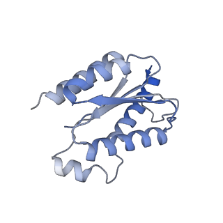 11633_7a4h_GH_v1-2
Aquifex aeolicus lumazine synthase-derived nucleocapsid variant NC-2 (180-mer)
